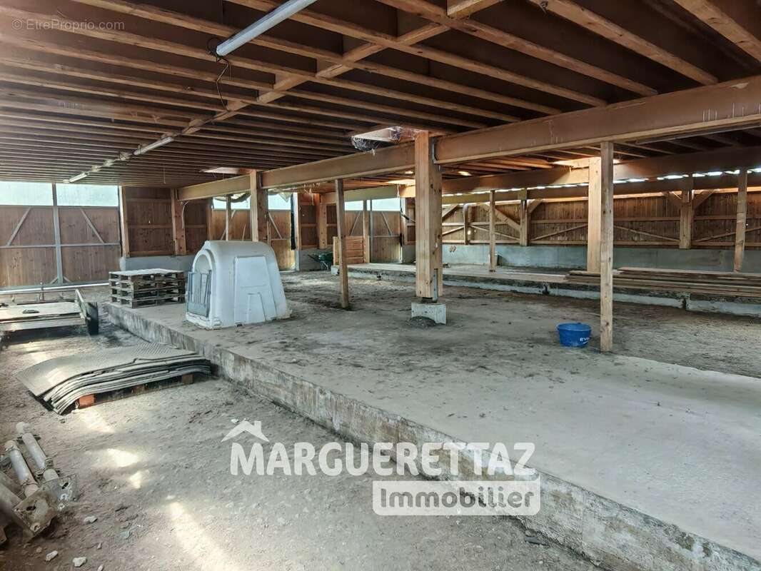 Ferme savoyarde à vendre à la Rivière Enverse - photo 5