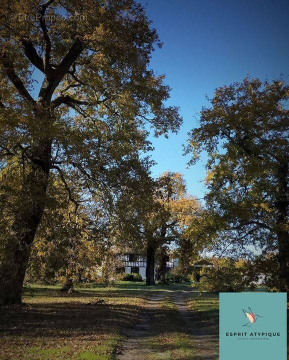 Maison à PARENTIS-EN-BORN