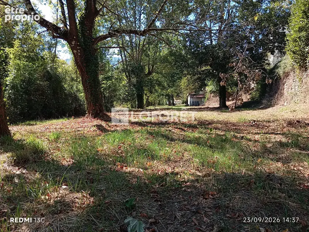Ancien camping / 2,15 ha - prats de mollo - photo 6