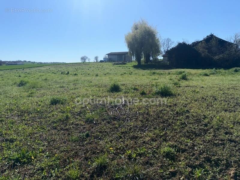 Terrain à CADOURS