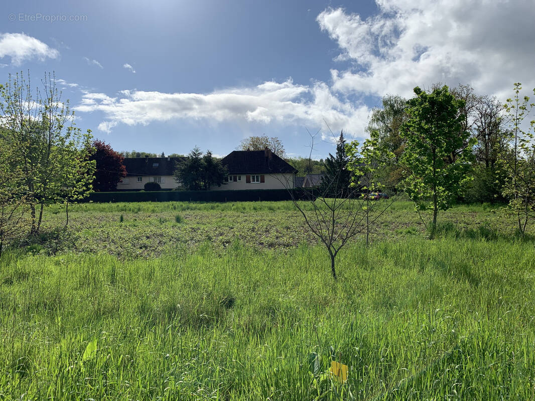 Terrain à PLANCHER-BAS