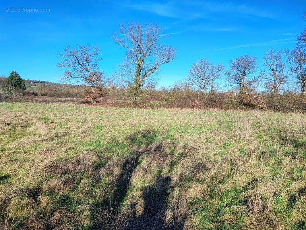 Terrain à SAINT-AMAND-MONTROND