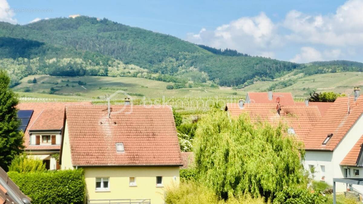 Maison à EGUISHEIM