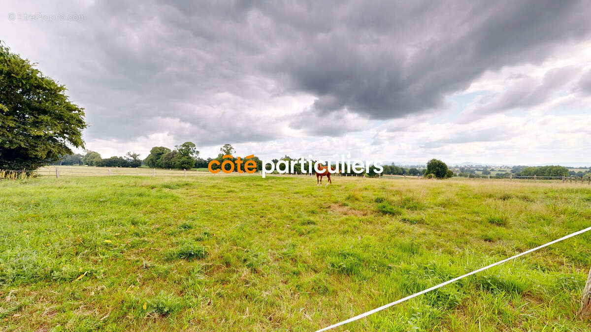Propriété équestre 17 km Avranches commune de Brécey  175 m2 et bâtiment avec boxes sur 4 hectares. - photo 8