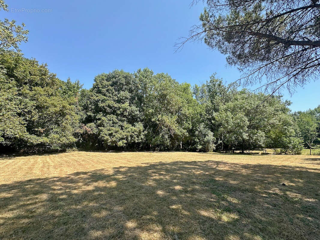 CASTELMAUROU, terrain viabilisé à bâtir de 1 404 m2 - photo 5