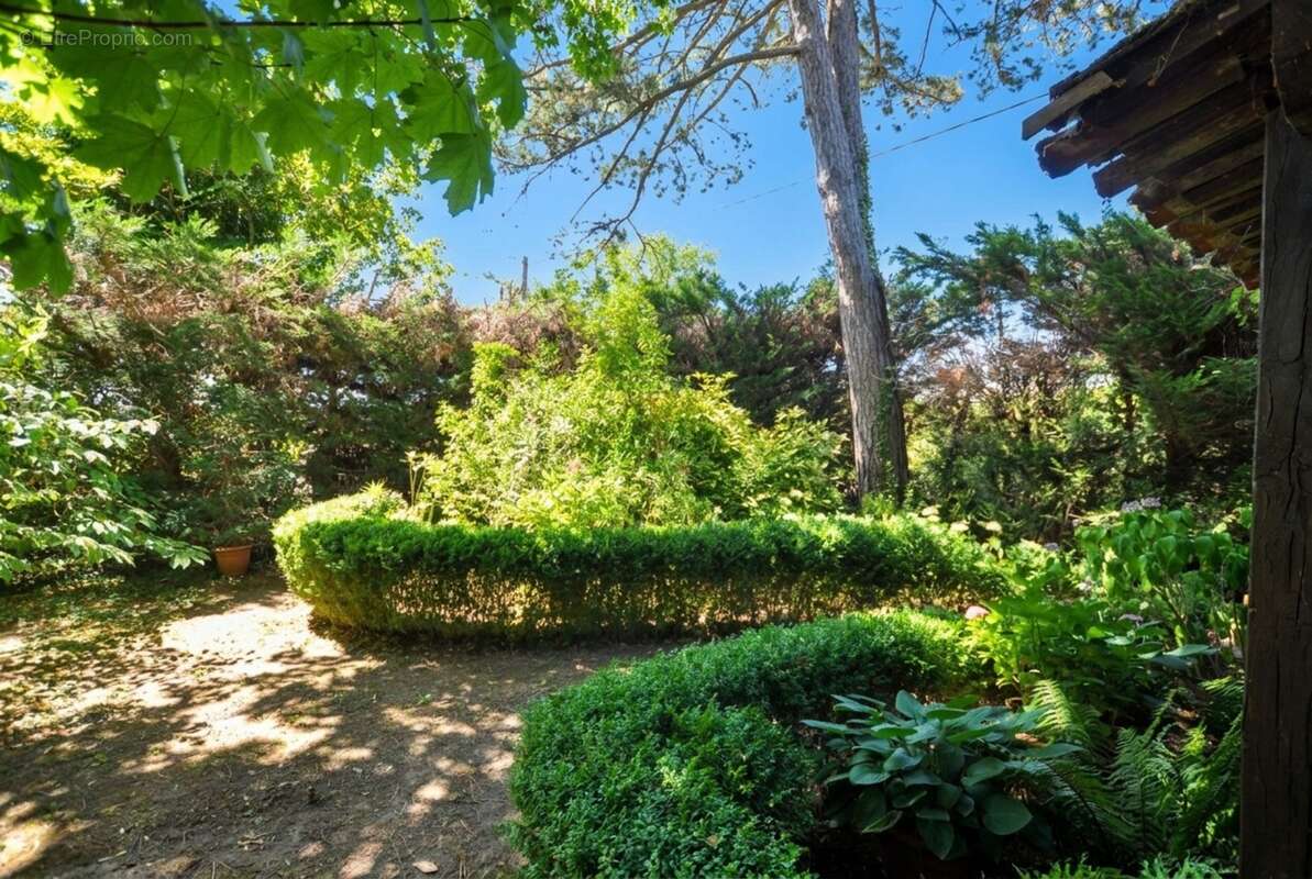 Maison de campagne dans parc arboré 3000 m². Moissieu sur Dolon 38270 - photo 5