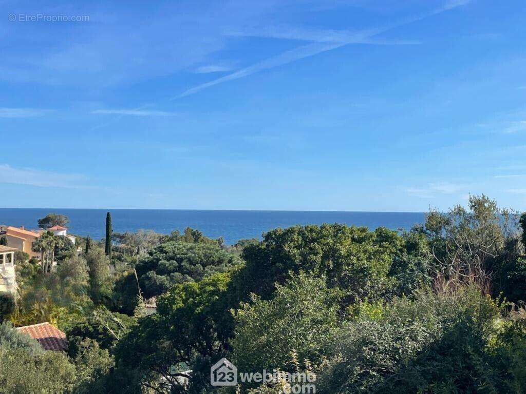 Horizon bleu et nature préservée : un cadre d?exception. - Maison à ROQUEBRUNE-SUR-ARGENS
