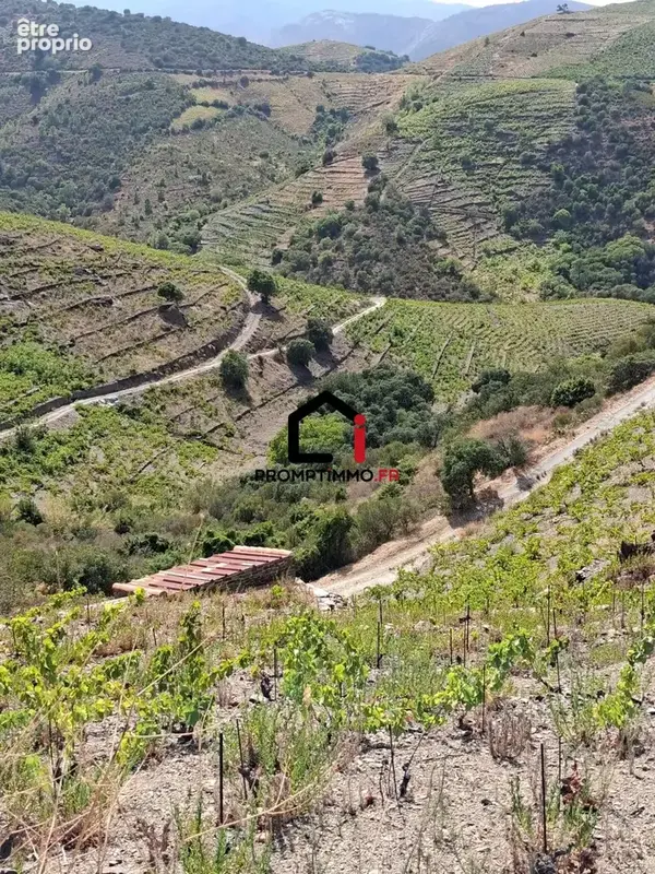 Terrain 7859 m² à Banyuls-Sur-Mer  - photo 8