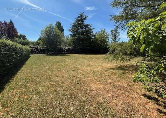 Maison 162 m² à Ozoir-La-Ferriere  - photo 16