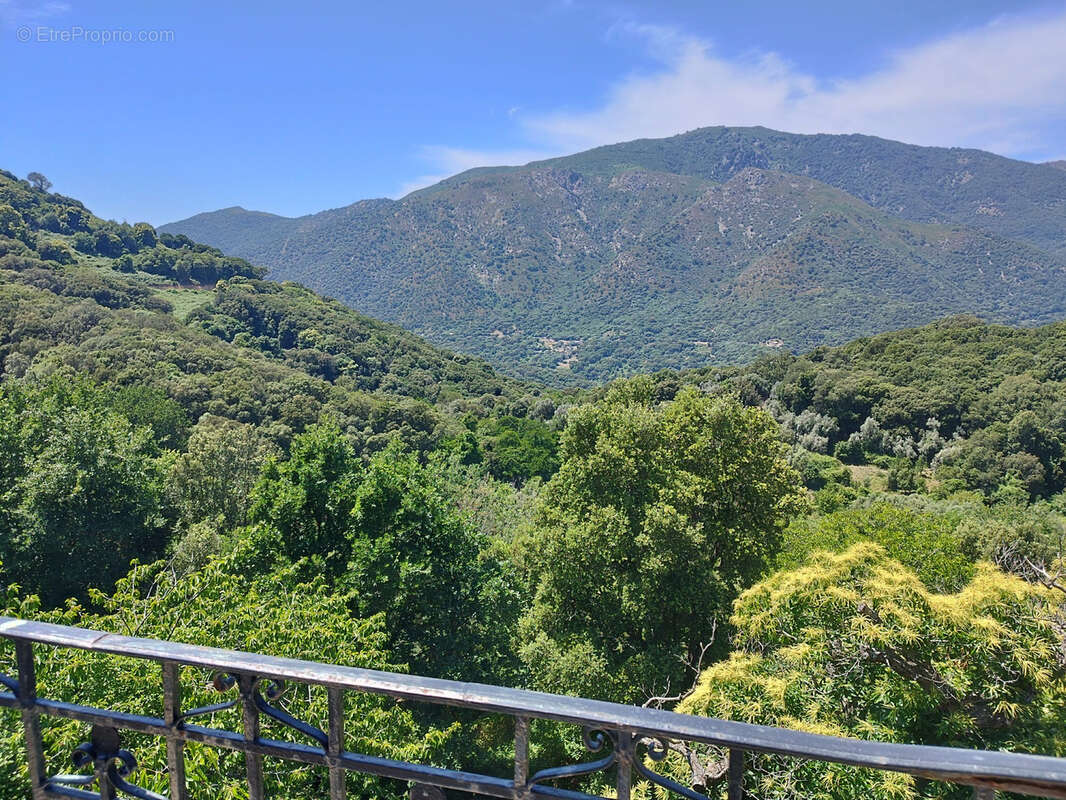 Haut de villa rénové avec deux logements et terrain   Village de montagne corse - photo 2