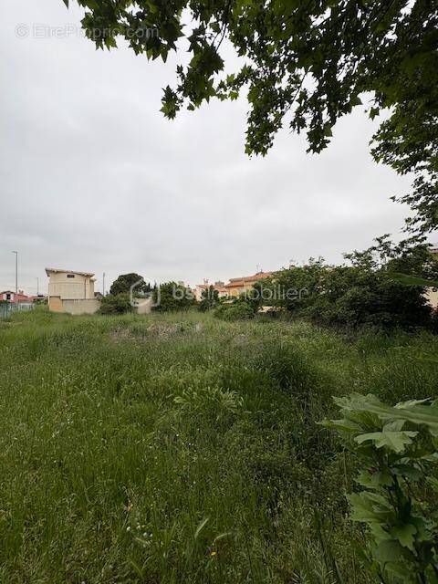 Terrain à MILLAS