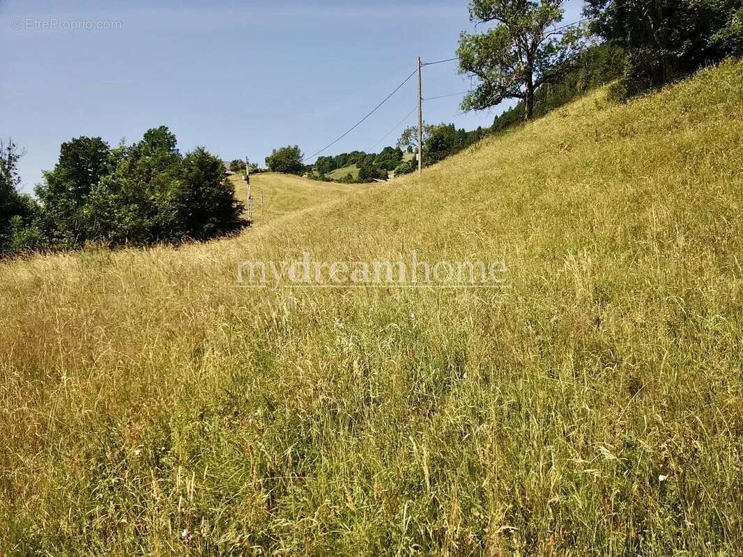 Terrain à SAINT-NICOLAS-LA-CHAPELLE