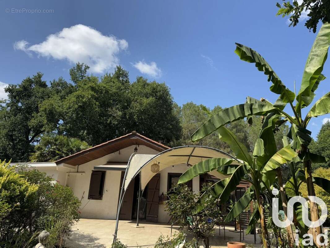 Photo 2 - Maison à BOISREDON