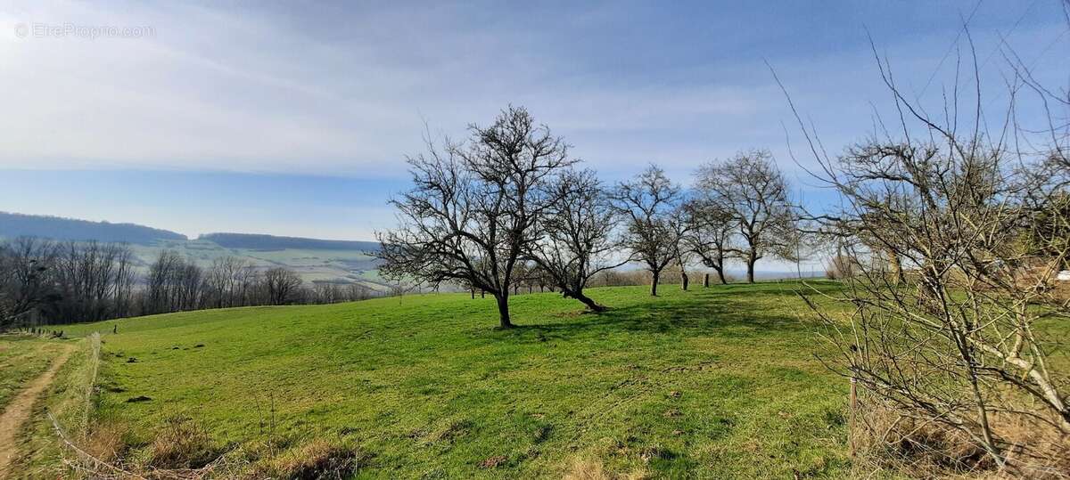 Terrain à LANDREMONT