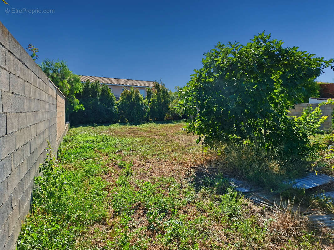 Terrain à CAZOULS-LES-BEZIERS