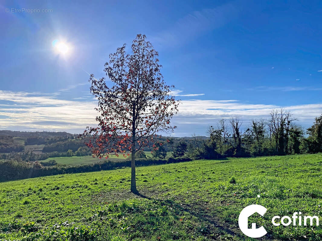 Maison à ARZACQ-ARRAZIGUET