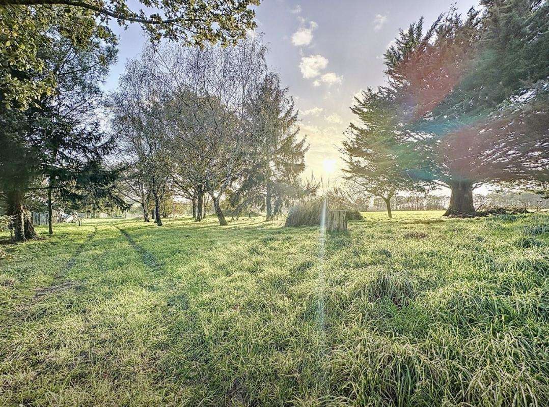 Maison à LA CHAPELLE-DE-BRAIN