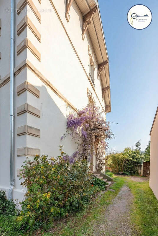 Maison epinal - 10 pieces - 244 m2 - photo 37