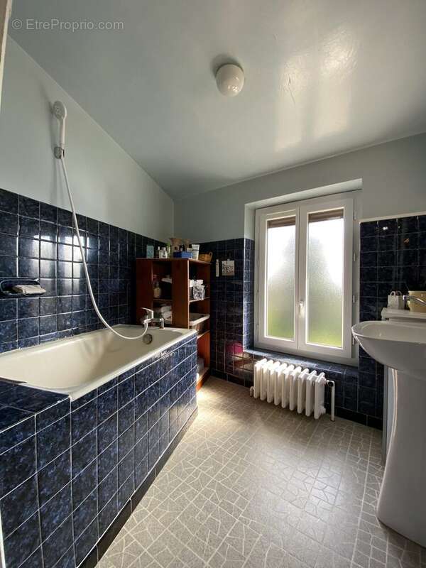 Maison 213 m² à Les Cotes-D'arey  - photo 6