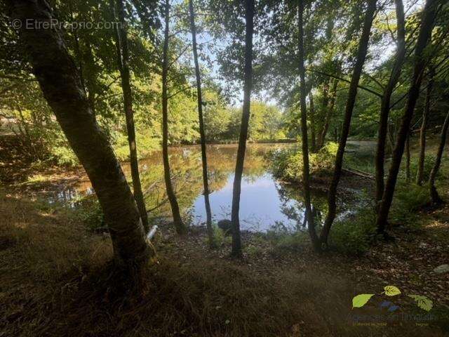 Haute vienne - photo 14