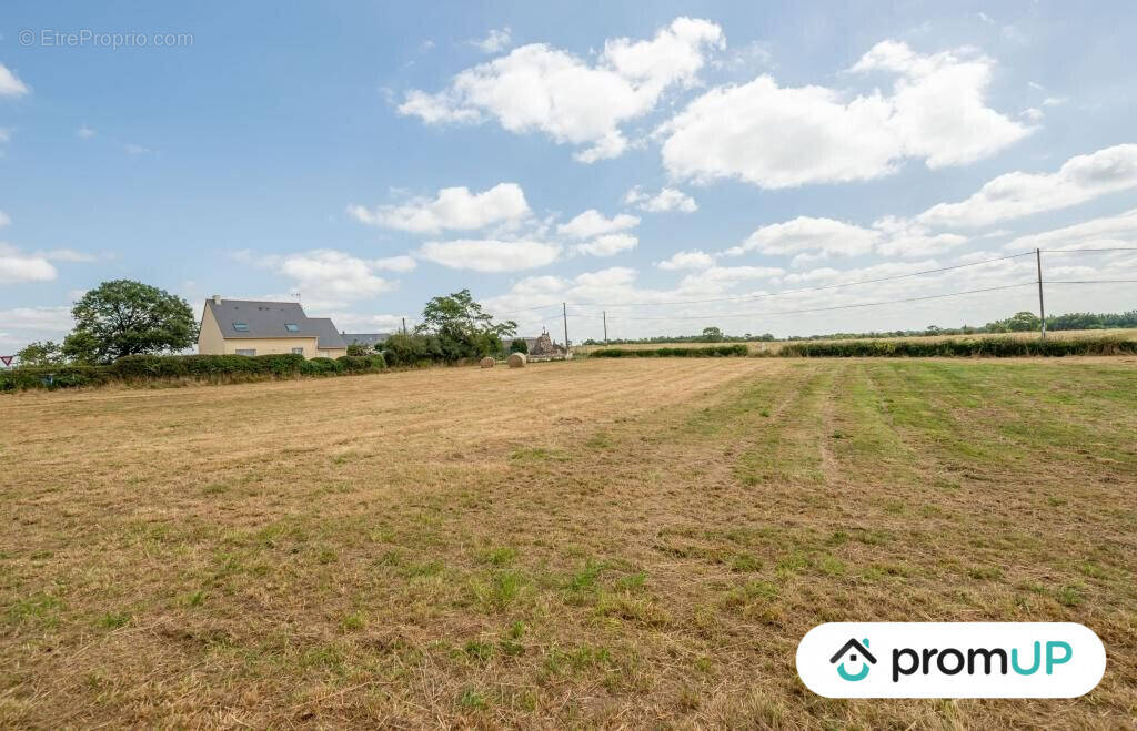 Terrain à SION-LES-MINES