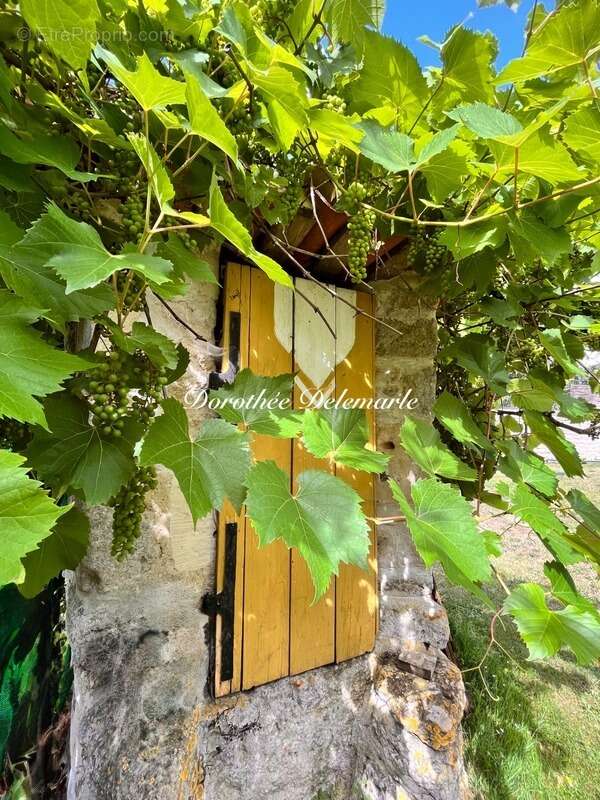 Maison à vendre 8 pièces MIGRE (17) Ensemble immobilier de charme avec gîte indépendant, dépendances et vue campagne – Migré - photo 19