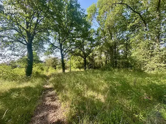 Montlhéry - terrain a bâtir de 5 000 m2 - potentiel de 2 lots - photo 3