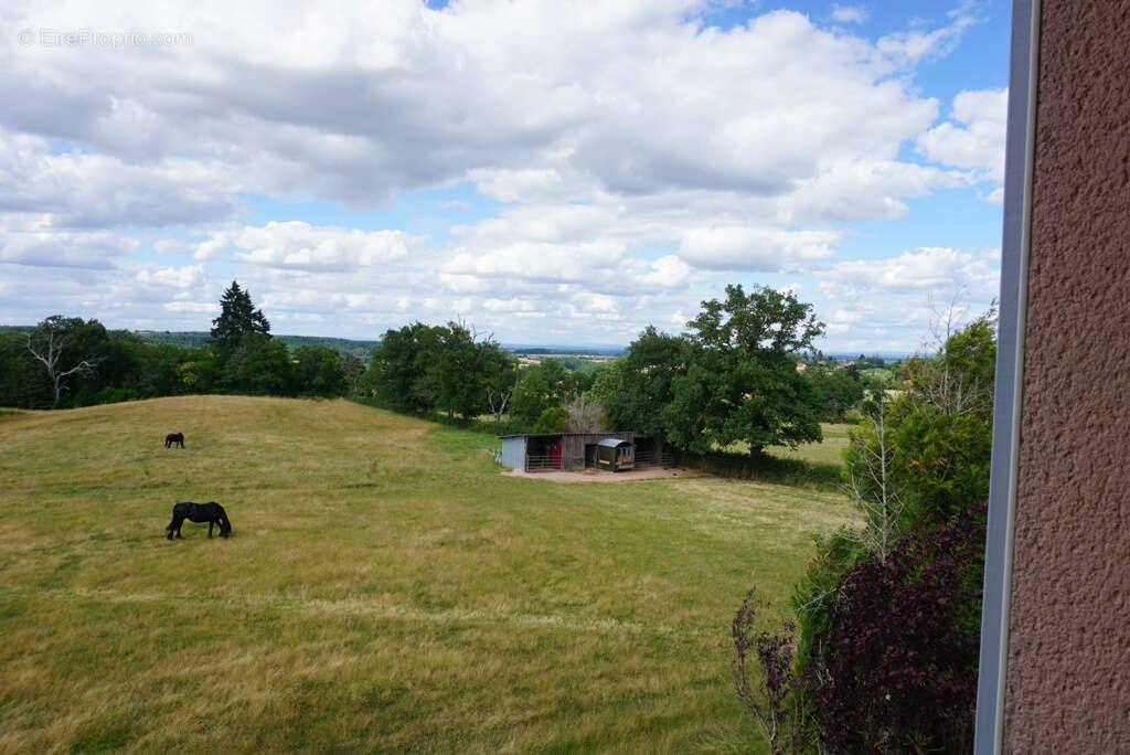 Balle maison avec terrain et etangs - photo 13