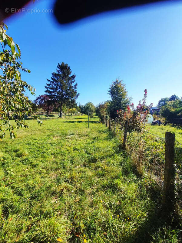 Maison à RIGNY-LE-FERRON