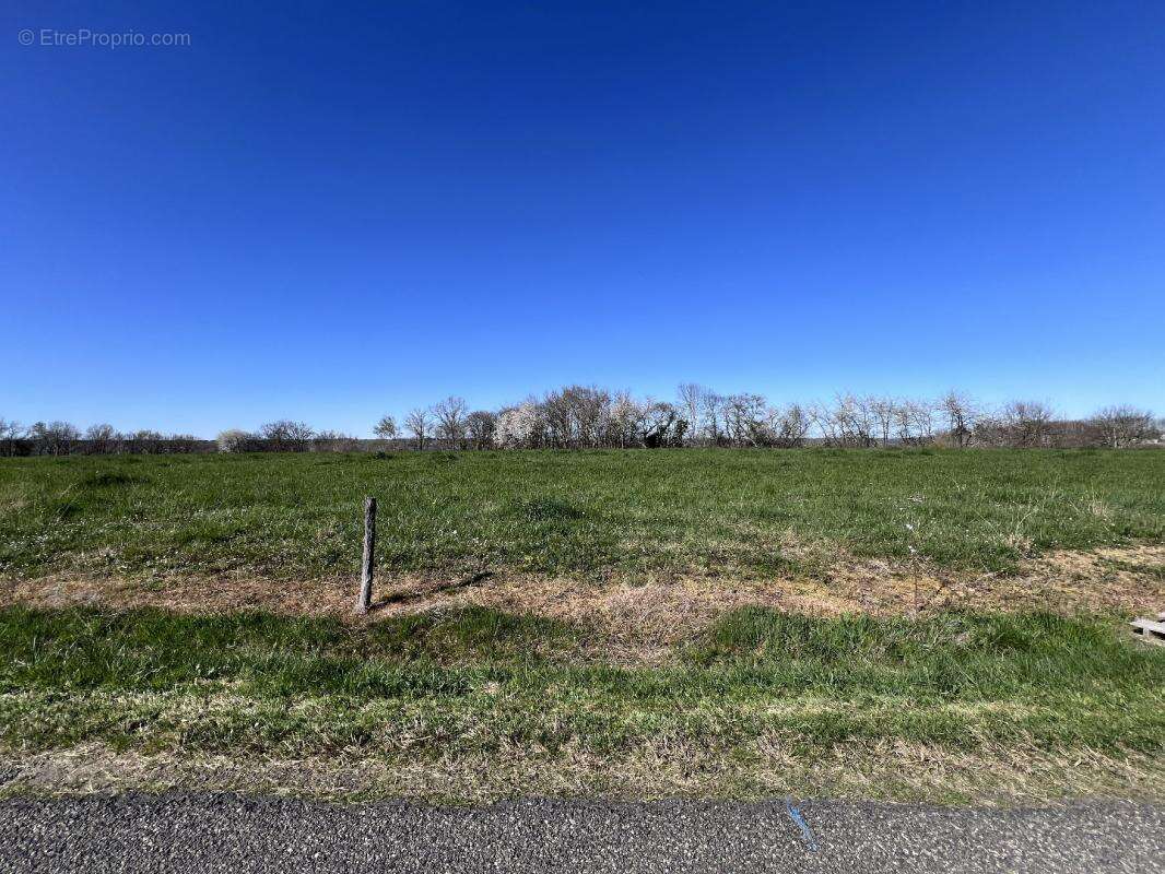 Terrain 3740 m² à Lodes  - photo 2