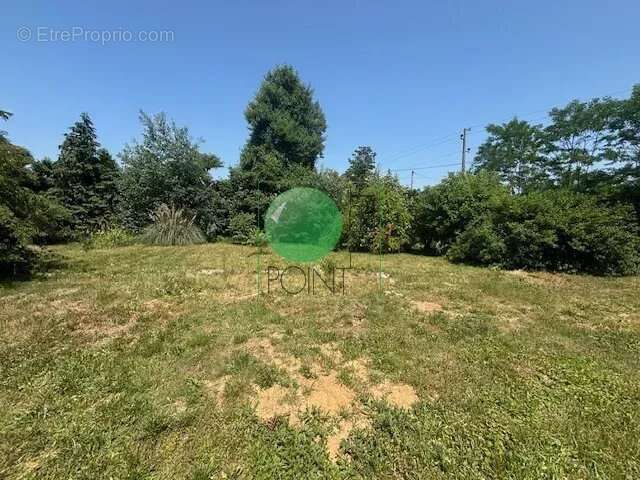 Terrain à LA FERTE-ALAIS