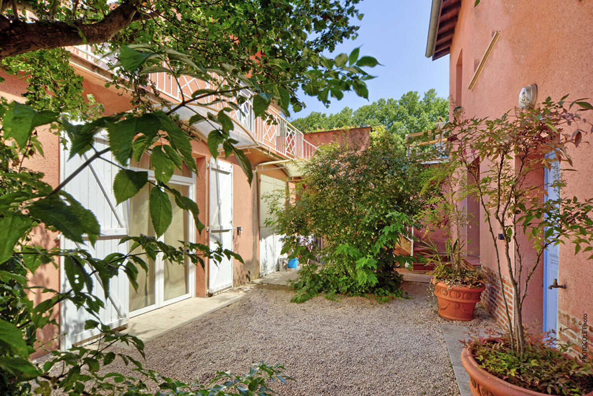 Le petit toulousain - photo 8