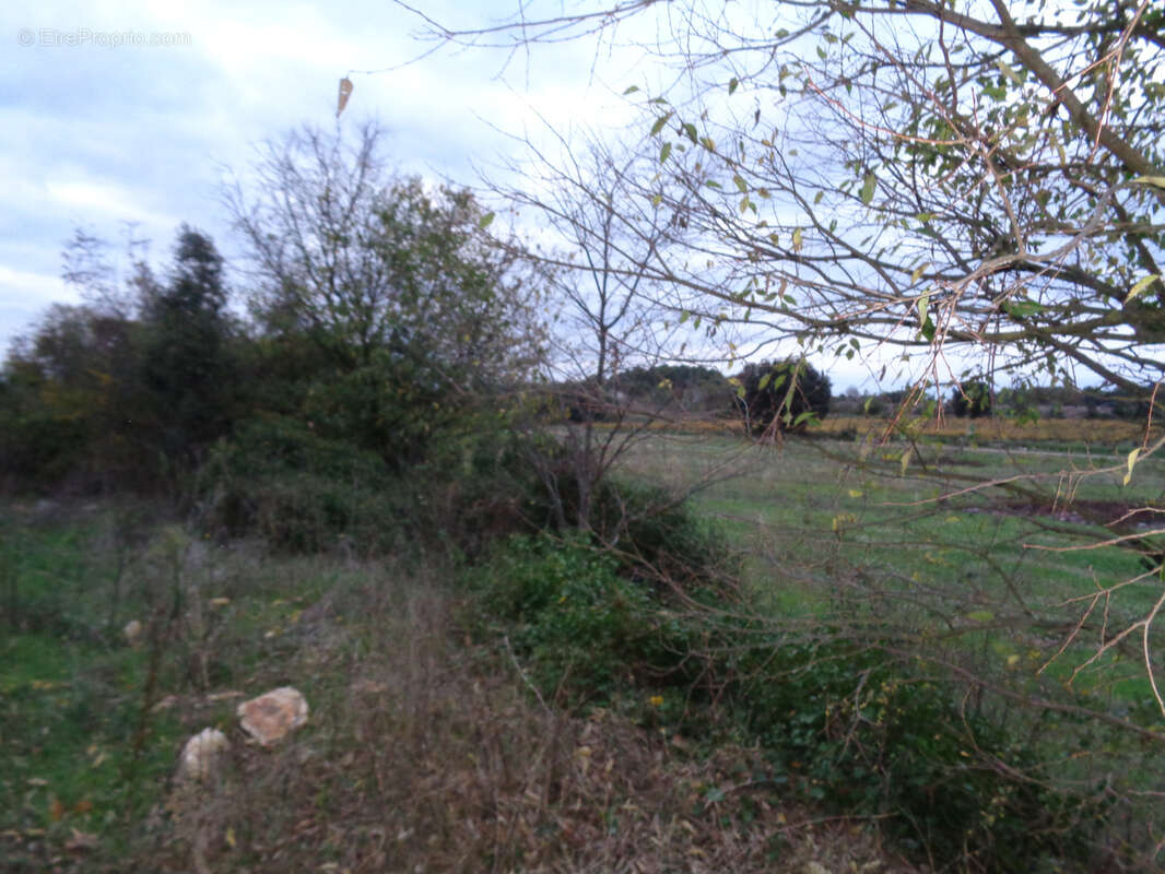 Gard Villevieille Terrain Agricole - photo 6