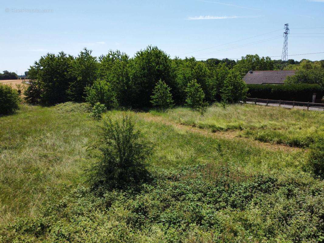 Terrain constructible arboré de 2 896 m² dans un environnement privilégié - La Madeleine de Nonancourt - photo 4