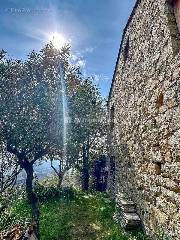 Maison à SARROLA-CARCOPINO
