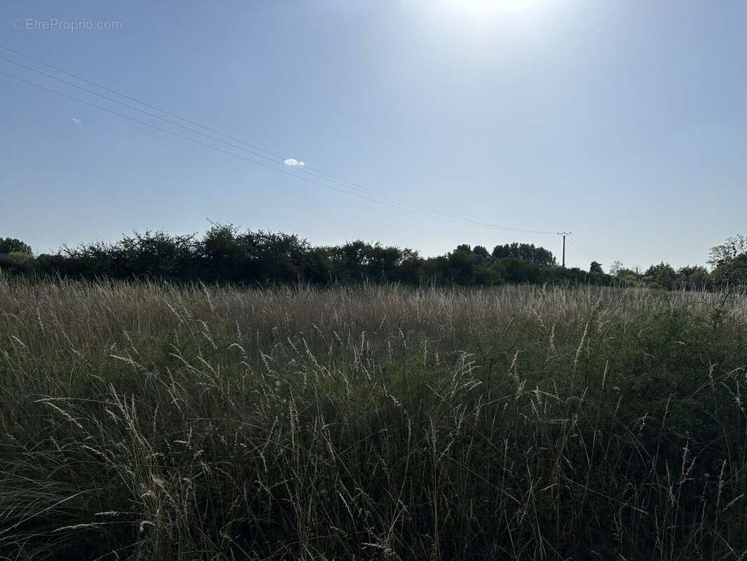 Terrain à LA COUR-MARIGNY