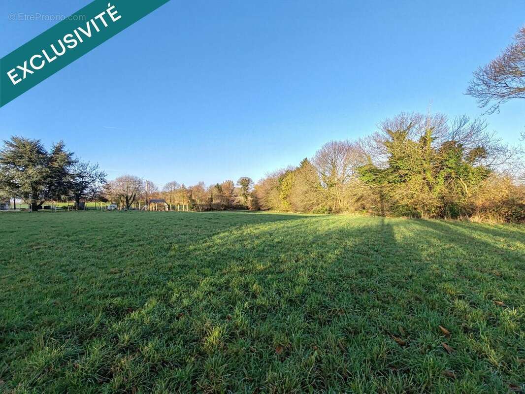 Photo 6 - Terrain à FOUGEROLLES-DU-PLESSIS