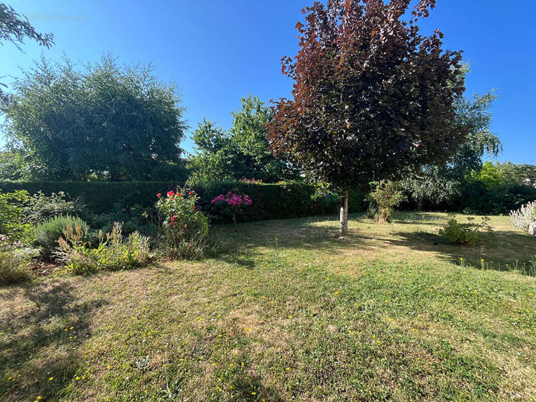 Maison à SAINT-BENOIT