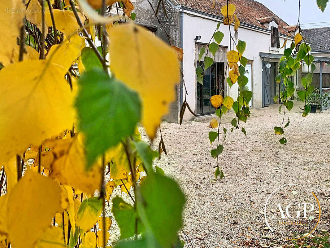 Maison ancienne, 3 chambres, Grange - photo 12