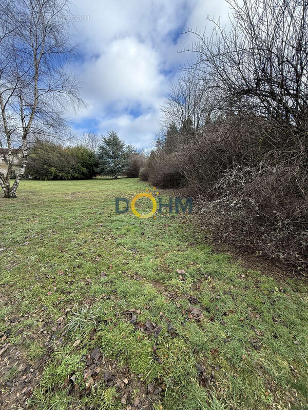 Terrain de 881 m2 à Saint-Pal-de-Mons - photo 2