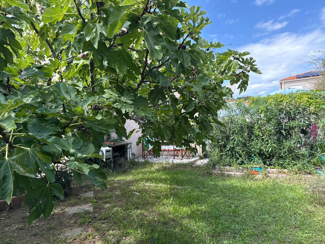 Maison à SAINT-JEAN-PLA-DE-CORTS