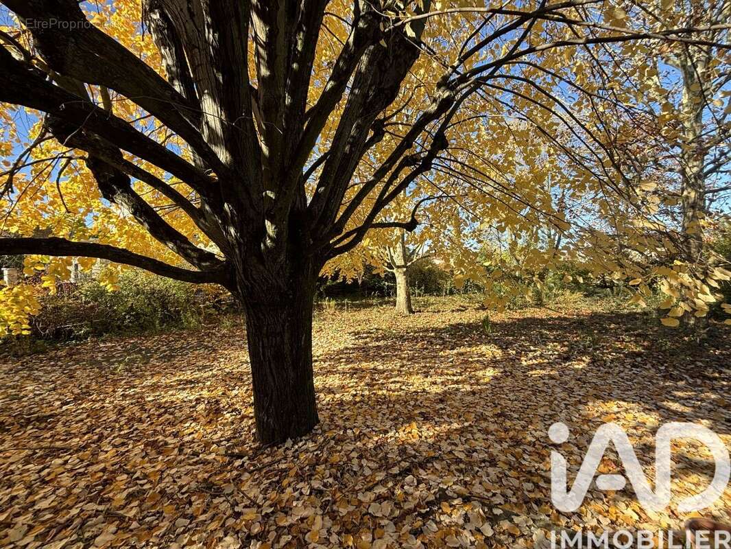 Photo 7 - Maison à LIMAS