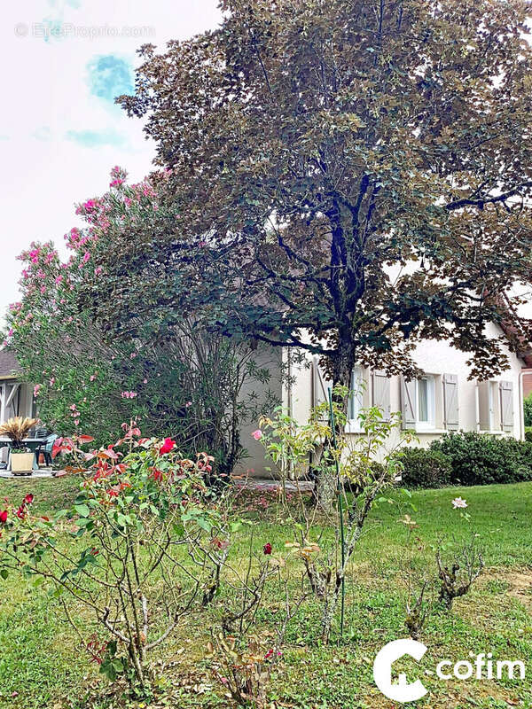 Maison à LONS