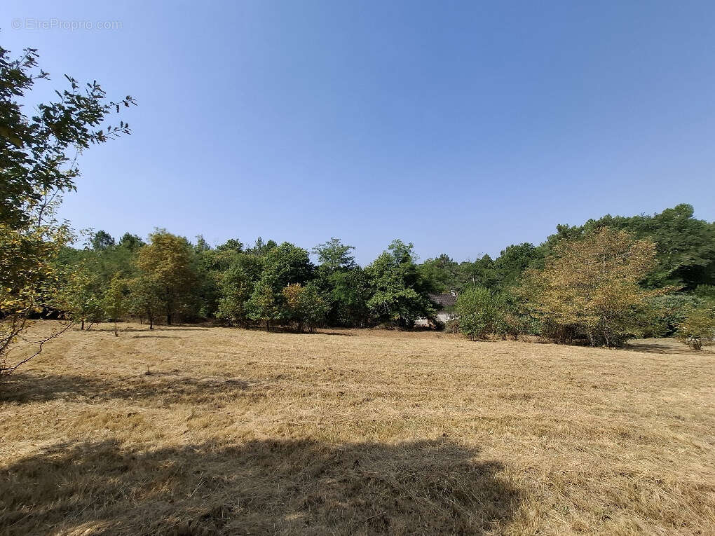 Terrain à THENON