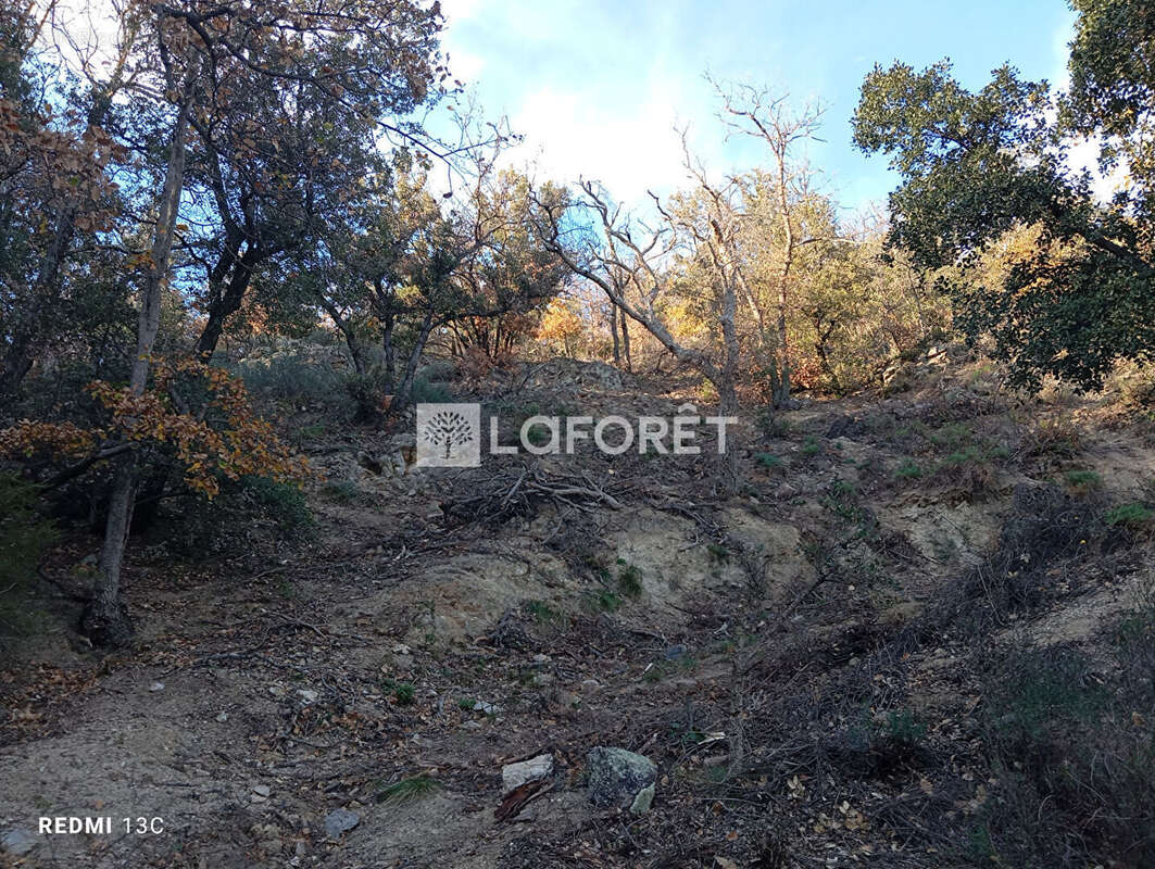 Terrain ARLES SUR TECH 18.305 m2 - photo 6