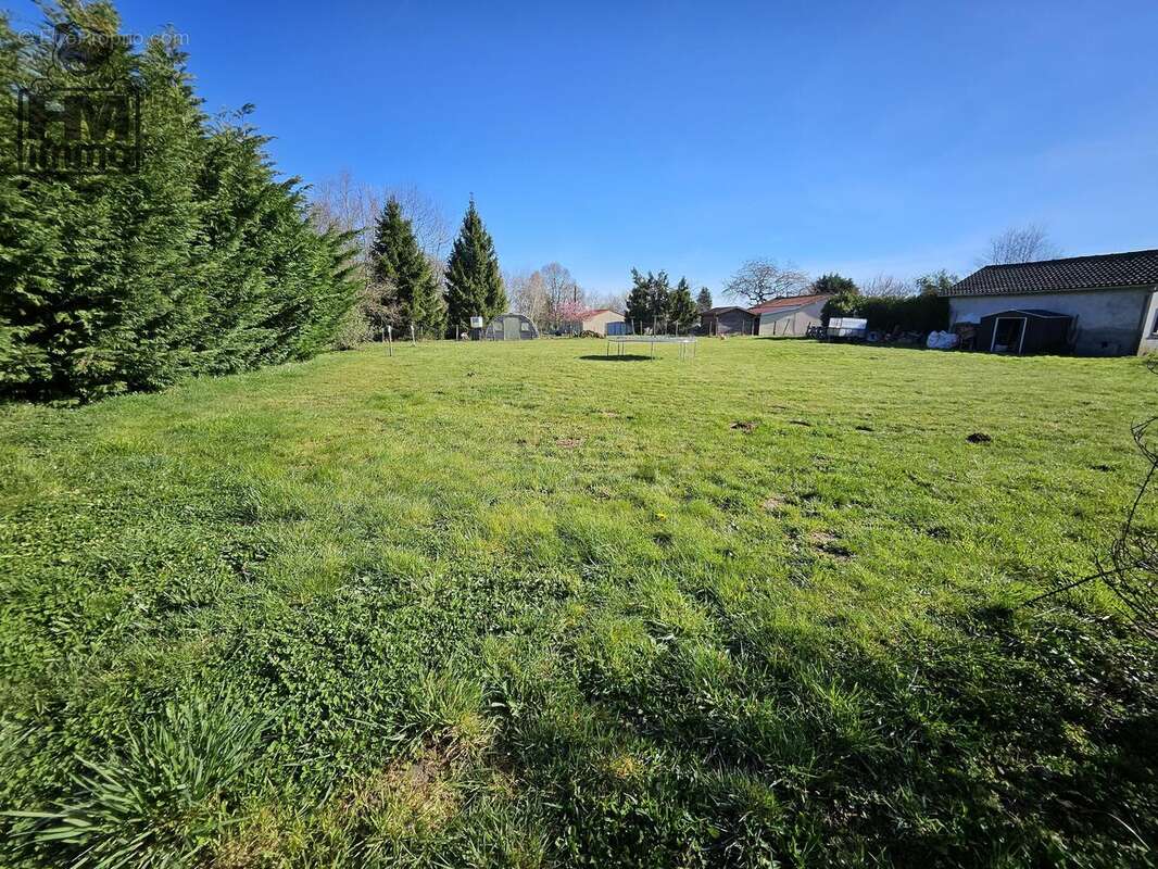 n°2 - Terrain à NEXON