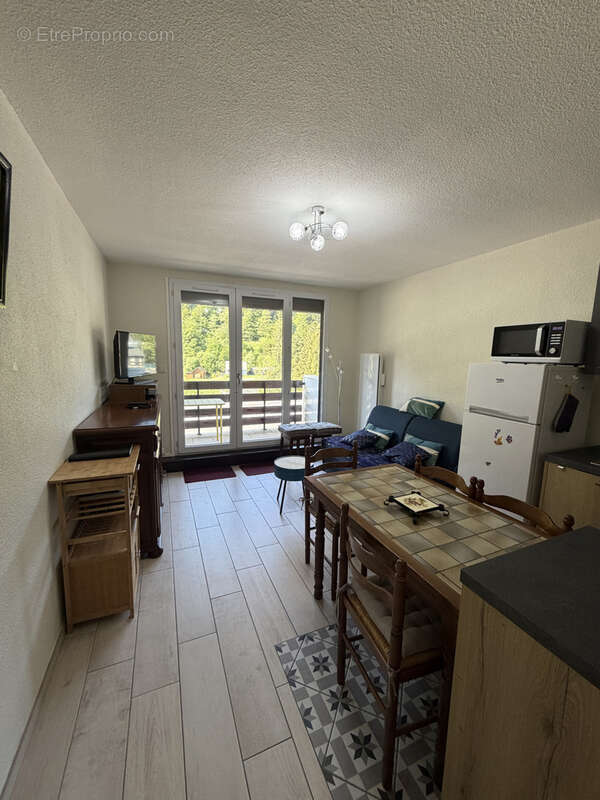 Appartement à LAVEISSIERE