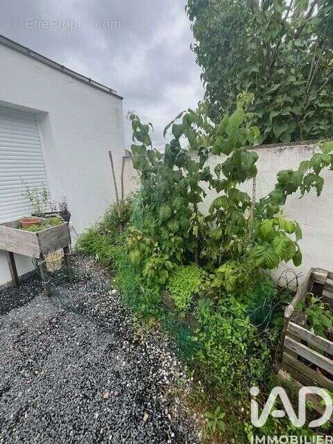 Photo 3 - Appartement à SAINT-SEBASTIEN-SUR-LOIRE