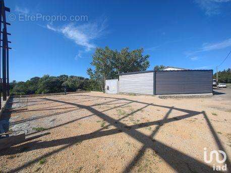 Photo 5 - Commerce à MONS