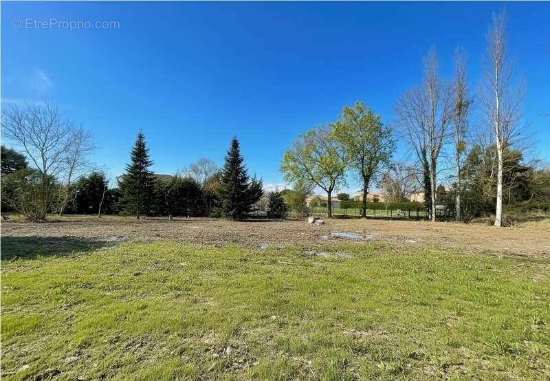 Terrain à SAINT-JEAN
